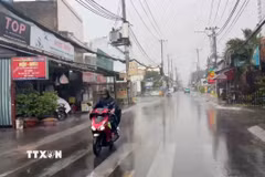 (Ảnh minh họa: Hồng Đạt/TTXVN)