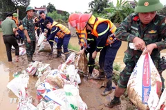 Các lực lượng Công an, Quân đội khẩn trương gia cố đê bối sông Cầu. (Ảnh: Trần Trang/TTXVN)