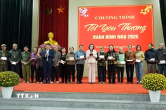 Phó Chủ tịch Quốc hội Nguyễn Thị Thanh trao quà Tết tại xã Yên Từ. (Ảnh: Đức Phương/TTXVN)