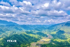 Ảnh minh họa. (Ảnh: Hoa Mai/TTXVN)