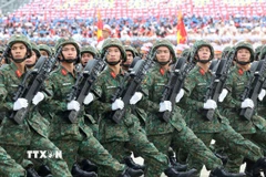 Khối chiến sỹ Tác chiến điện tử. (Ảnh: Lâm Khánh/TTXVN)