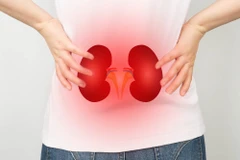 Phát hiện gene gây nguy cơ cao mắc rối loạn lưỡng cực và bệnh thận