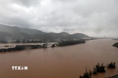 Nước lũ dâng cao trên sông Cu Đê, thành phố Đà Nẵng. (Ảnh: Đỗ Trưởng/TTXVN)