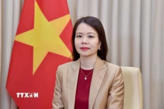 Thứ trưởng Bộ Ngoại giao Nguyễn Minh Hằng. (Ảnh: TTXVN phát)