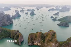 Phong cảnh tuyệt đẹp của Vịnh Hạ Long thu hút sự quan tâm của nhiều du khách. (Ảnh: Hoàng Hiếu/TTXVN)