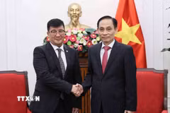 Bộ trưởng Ngoại giao Lê Hoài Trung tiếp Đại sứ Mông Cổ tại Việt Nam Jigjee Sereejav. (Ảnh: An Đăng/TTXVN)