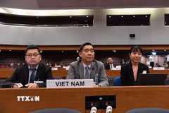 Đại sứ Phạm Việt Hùng (ngồi giữa) tại phiên thảo luận. (Ảnh: Đỗ Sinh/TTXVN)