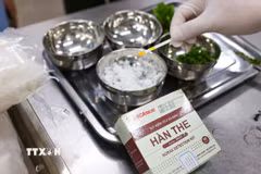 Test nhanh phát hiện hàn the trong mẫu bún, phở và thực hiện lấy mẫu thịt lợn gửi Lab xét nghiệm phát hiện các chủng tả lợn châu Phi. (Ảnh: Thanh Tùng/TTXVN)