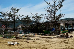 Nhà hàng ven biển Quy Nhơn bị gió giật sập đổ. (Ảnh: Đình Quân/TTXVN)