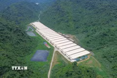 Trang trại nơi xảy ra tai nạn thuộc Dự án chăn nuôi lợn giống và lợn thương phẩm của Công ty trách nhiệm hữu hạn Dabaco Thanh Hóa (Tập đoàn Dabaco Việt Nam). (Ảnh: TTXVN phát)