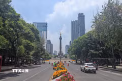 Thủ đô Mexico rực rỡ sắc hoa trước ngày hội bóng đá thế giới. (Ảnh: Phương Lan/TTXVN)