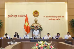 Chủ tịch Quốc hội Trần Thanh Mẫn phát biểu khai mạc Phiên họp. (Ảnh: Doãn Tấn/TTXVN)