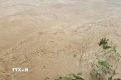 (Ảnh minh họa: Hương Thu/TTXVN)