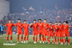 Việt Nam tăng 5 bậc lên vị trí 103 thế giới. (Ảnh: Hoài Nam/Vietnam+)