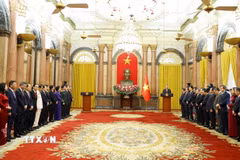Hội nghị công bố Quyết định của Bộ Chính trị chỉ định Ban Chấp hành, Ban Thường vụ, Bí thư, Phó Bí thư Đảng ủy Chính phủ và công bố Quyết định bổ nhiệm các thành viên Chính phủ nhiệm kỳ 2026-2031. (Ảnh: Thống Nhất/TTXVN)