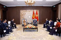 Tổng Bí thư Tô Lâm tiếp bà Men Sam An, Phó Chủ tịch Đảng Nhân dân Campuchia, Chủ tịch Hội đồng Quốc gia Mặt trận Đoàn kết Phát triển Tổ quốc Campuchia. (Ảnh: Thống Nhất/TTXVN)