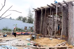 Ảnh minh họa. (Ảnh: Nguyễn Công Hải/TTXVN)