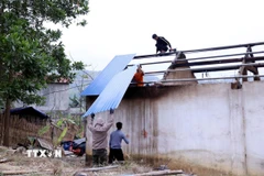 Hỗ trợ xóa nhà tạm, nhà dột nát đối với con đẻ của người hoạt động kháng chiến bị nhiễm chất độc hóa học. (Ảnh minh họa: Quang Cường/TTXVN)