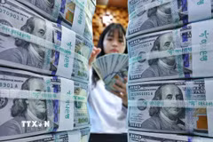 Nhân viên kiểm đếm đồng USD tại ngân hàng Hana ở Seoul, Hàn Quốc. (Ảnh minh họa: Yonhap/TTXVN)