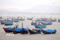Ảnh minh họa. (Ảnh: Công Tường/TTXVN)