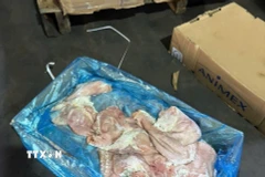 Thực phẩm không rõ nguồn gốc bị Công an phát hiện. (Ảnh: TTXVN phát)