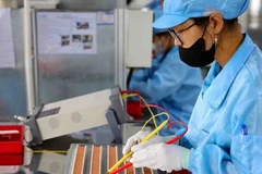 Ảnh minh họa. (Nguồn: TTXVN)