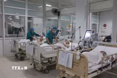 Việt Nam tích cực tham gia, đóng góp trách nhiệm vào các sứ mệnh chăm sóc sức khỏe cộng đồng của WHO trên lĩnh vực y tế. (Ảnh minh họa: Bích Huệ/TTXVN)