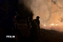 Lực lượng Bộ đội Biên phòng chữa cháy rừng sản xuất tại xã Phú Vinh, thành phố Huế. (Ảnh: TTXVN phát)