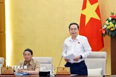Chủ tịch Quốc hội Trần Thanh Mẫn phát biểu khai mạc phiên họp. (Ảnh: Doãn Tấn/TTXVN)