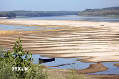Tại Romania, mực nước sông Danube giảm xuống mức thấp kỷ lục. (Ảnh: THX/TTXVN phát)