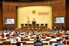 Bộ trưởng Bộ Nội vụ Phạm Thị Thanh Trà trình bày Tờ trình về việc sắp xếp đơn vị hành chính cấp tỉnh năm 2025. (Ảnh: Doãn Tấn/TTXVN)