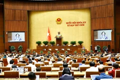 Bộ trưởng Bộ Nội vụ Phạm Thị Thanh Trà trình bày Tờ trình về việc sắp xếp đơn vị hành chính cấp tỉnh năm 2025. (Ảnh: Doãn Tấn/TTXVN)