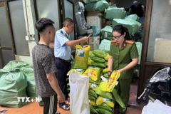 Lực lượng chức năng kiểm tra số gạo vi phạm. (Ảnh: TTXVN phát)