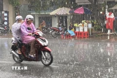 Ảnh minh họa. (Ảnh: Công Mạo/TTXVN)