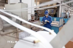 (Ảnh: Trần Việt/TTXVN)