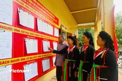 Các cử tri xã Nam Hòa tìm hiểu thông tin về các ứng cử viên. (Ảnh: Vietnam+)