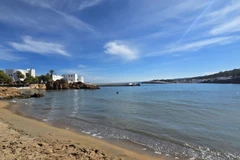 (Ảnh: Nguyễn An/TTXVN)