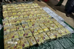 Tang vật lực lượng chức năng thu giữ từ nhóm đối tượng. (Ảnh: TTXVN phát)