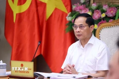 Phó Thủ tướng, Bộ trưởng Bộ Ngoại giao Bùi Thanh Sơn phát biểu chỉ đạo. (Ảnh: Văn Điệp/TTXVN)