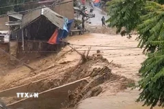 Ảnh minh họa. (Ảnh: TTXVN phát)