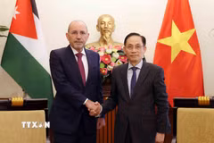 Bộ trưởng Bộ Ngoại giao Lê Hoài Trung tiếp Phó Thủ tướng, Bộ trưởng Bộ Ngoại giao và Kiều dân Jordan Ayman Hussein Abdullah Safadi. (Ảnh: An Đăng/TTXVN)