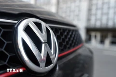 Ảnh minh họa. (Nguồn: AFP/TTXVN)