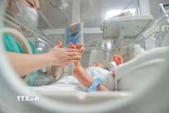 Phấn đấu tăng trung bình 2% tổng tỷ suất sinh trên toàn quốc mỗi năm. (Ảnh: Minh Quyết/TTXVN)