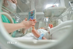 Phấn đấu tăng trung bình 2% tổng tỷ suất sinh trên toàn quốc mỗi năm. (Ảnh: Minh Quyết/TTXVN)