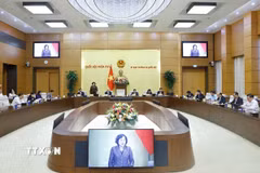 Phó chủ tịch Quốc hội Nguyễn Thị Hồng phát biểu. (Ảnh: Doãn Tấn/TTXVN)