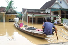 Hàng chục ngôi nhà cùng các tài sản, vật dụng của người dân bị chìm trong nước lũ ở Nghệ An. (Ảnh: Xuân Tiến/TTXVN)
