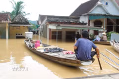 Hàng chục ngôi nhà cùng các tài sản, vật dụng của người dân bị chìm trong nước lũ ở Nghệ An. (Ảnh: Xuân Tiến/TTXVN)