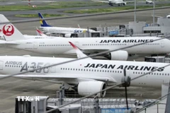 Japan Airlines hoãn nhiều chuyến bay vì bị tấn công mạng. (Ảnh: Kyodo/TTXVN)