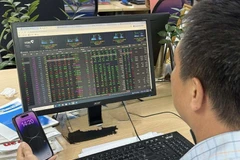 Ảnh minh họa. (Nguồn: Vietnam+)