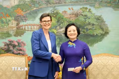 Phó Thủ tướng Phạm Thị Thanh Trà tiếp Tiến sỹ Angela Pratt, Trưởng Đại diện Tổ chức Y tế Thế giới (WHO) tại Việt Nam. (Ảnh: Lâm Khánh/TTXVN)